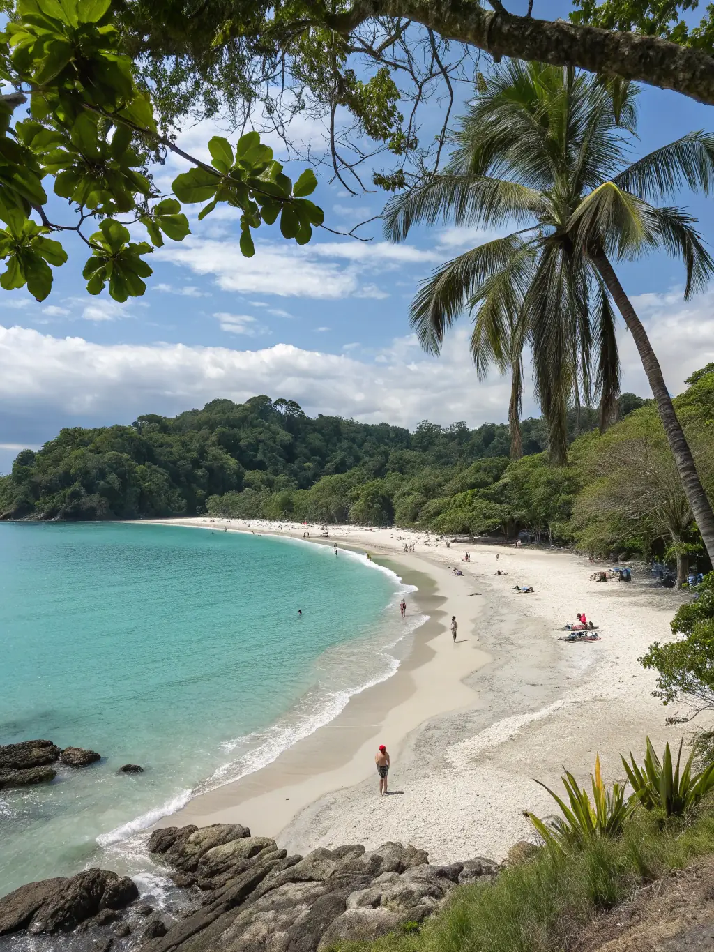 Manuel Antonio’s white sand beach, turquoise water, and jungle cliffs with monkeys in the trees.